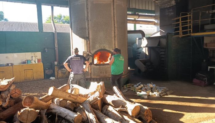 Laranjeiras - PCPR coordena incineração de mais de 2,6 toneladas de maconha